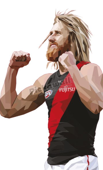 Dyson Heppell by DG Designs X AFL - Pickawall