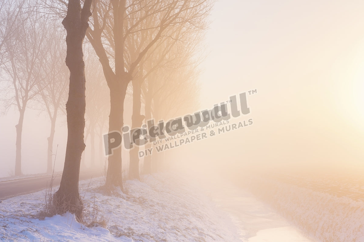 Foggy morning in winter