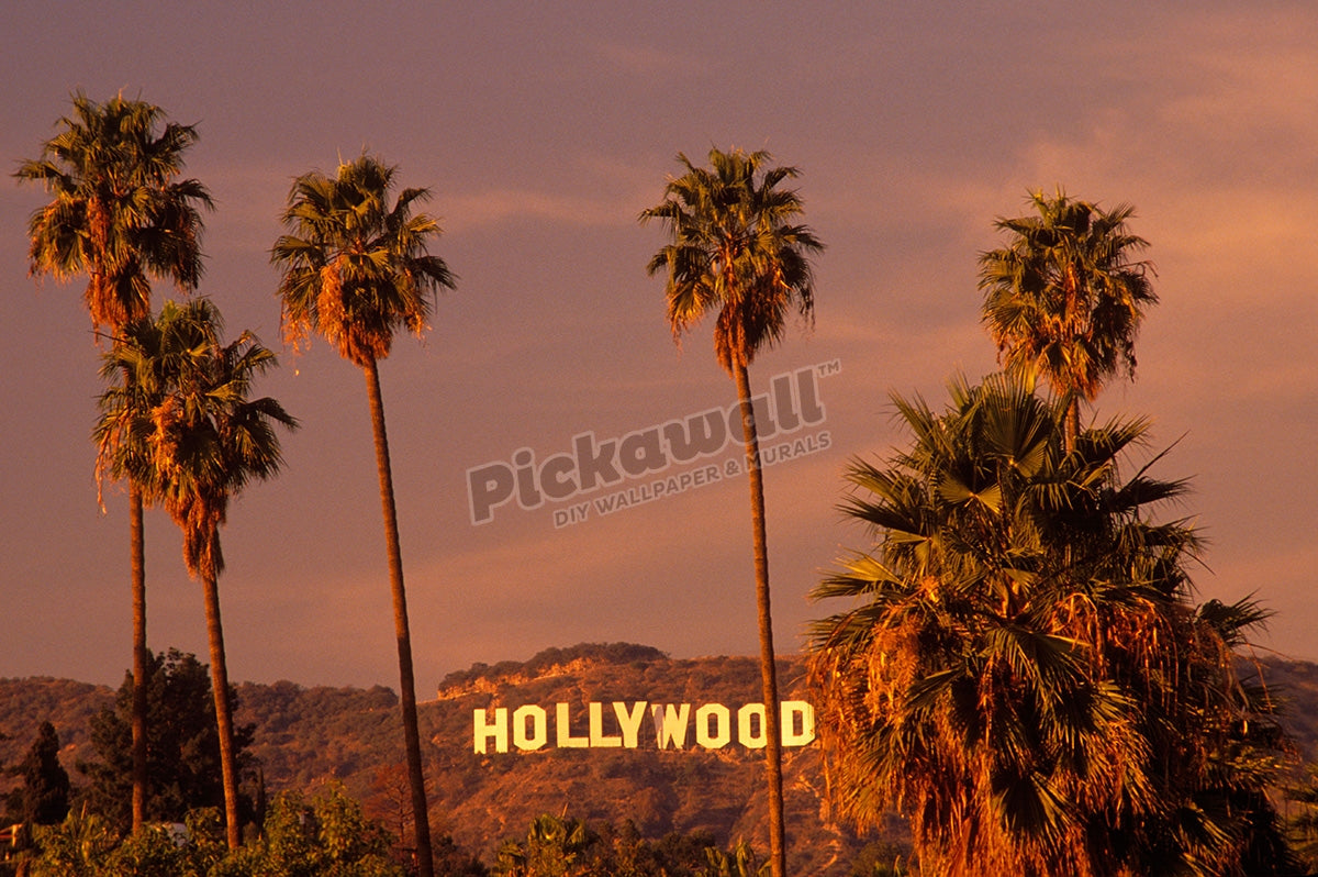 Hollywood sign and palm trees Hollywood Los Angeles California
