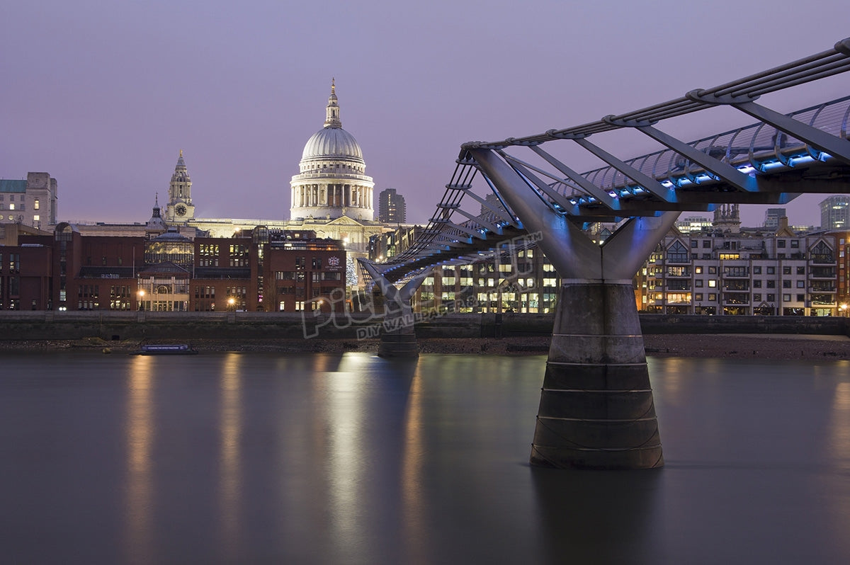 The Millennium Bridge.