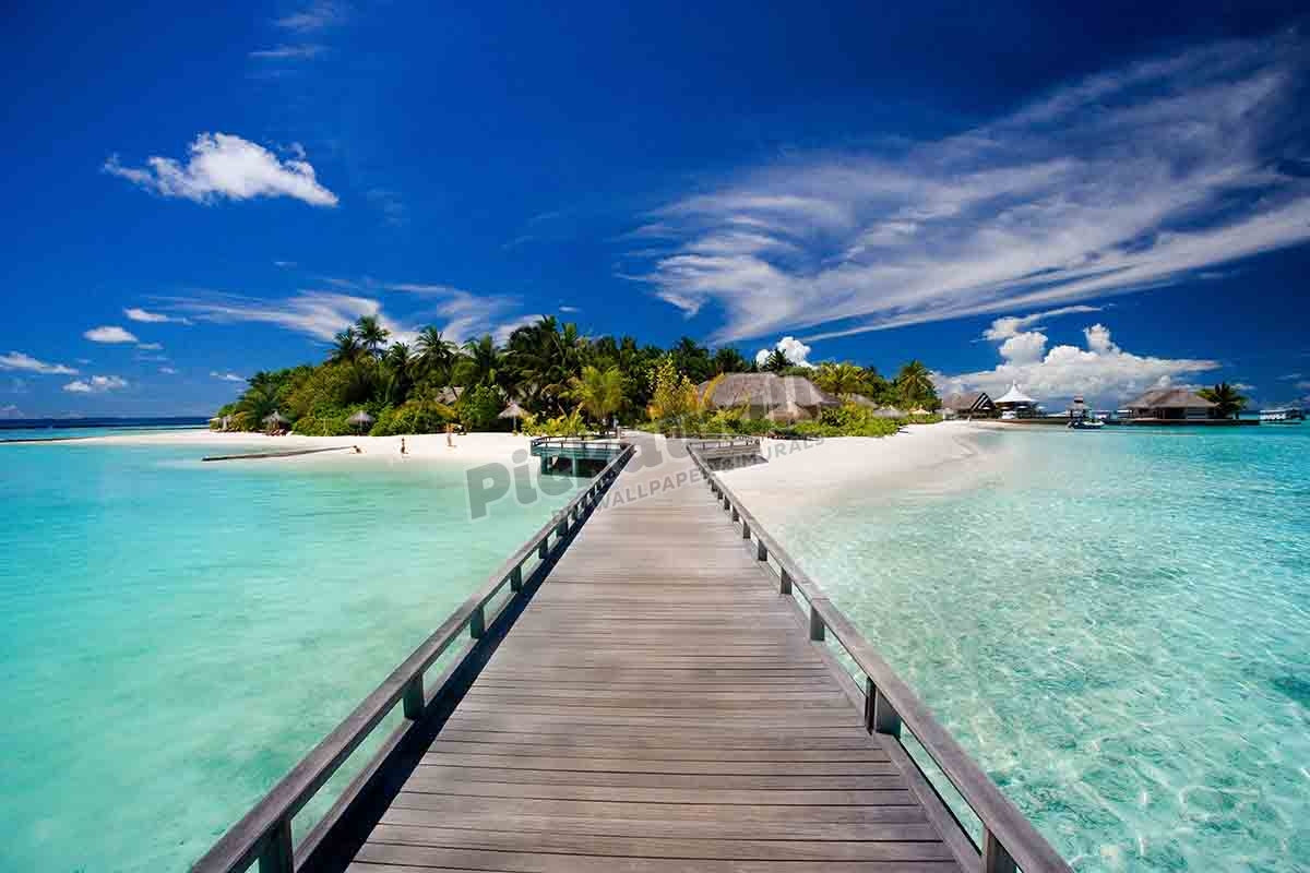 Maldives ocean landscape