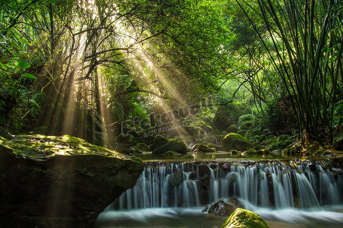 Longquan glamorous Creek