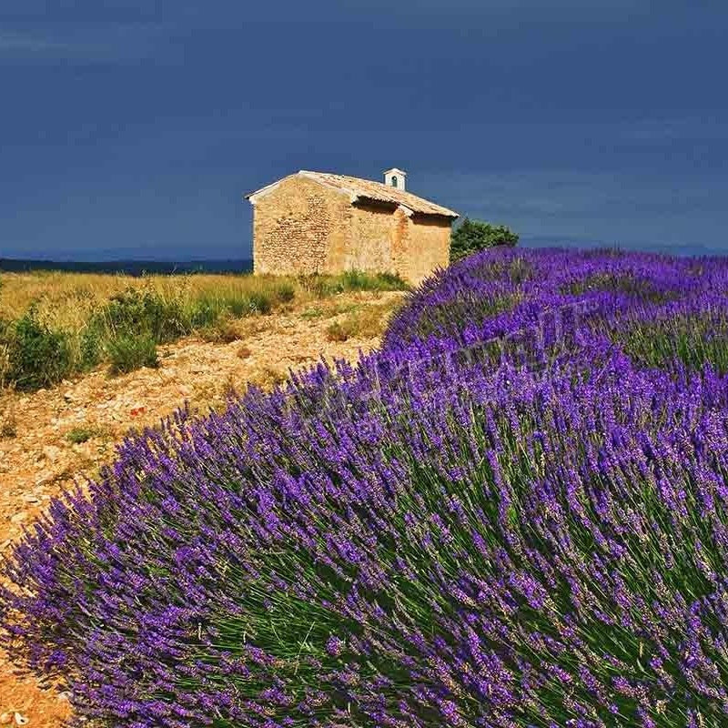 Entrevennes, Provence, France - Pickawall