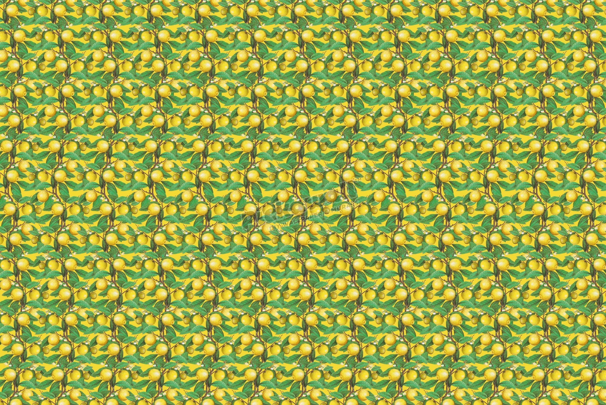 Lemons by Loren Shoemark