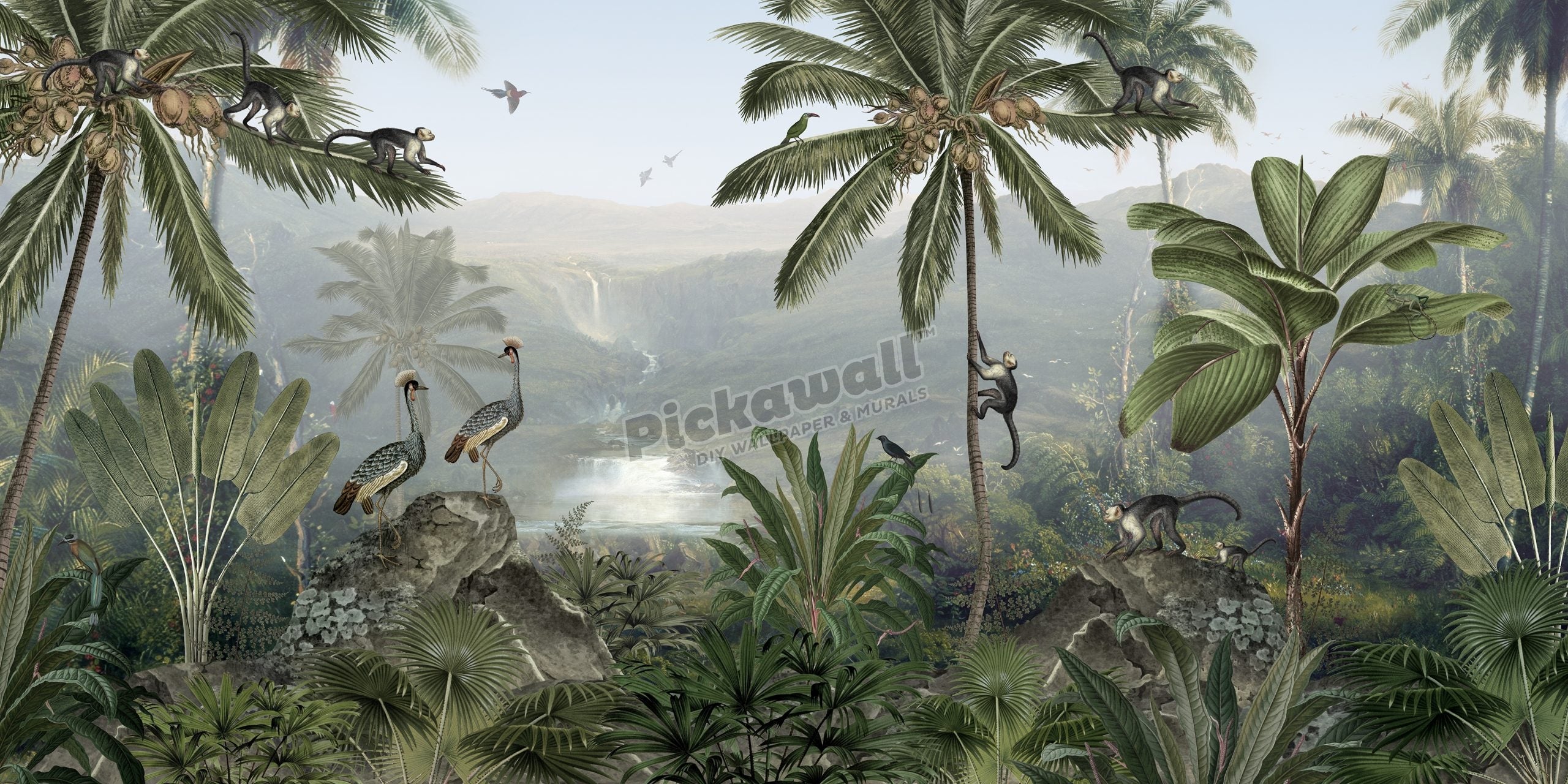 Monkey Sanctuary by Sir Edward