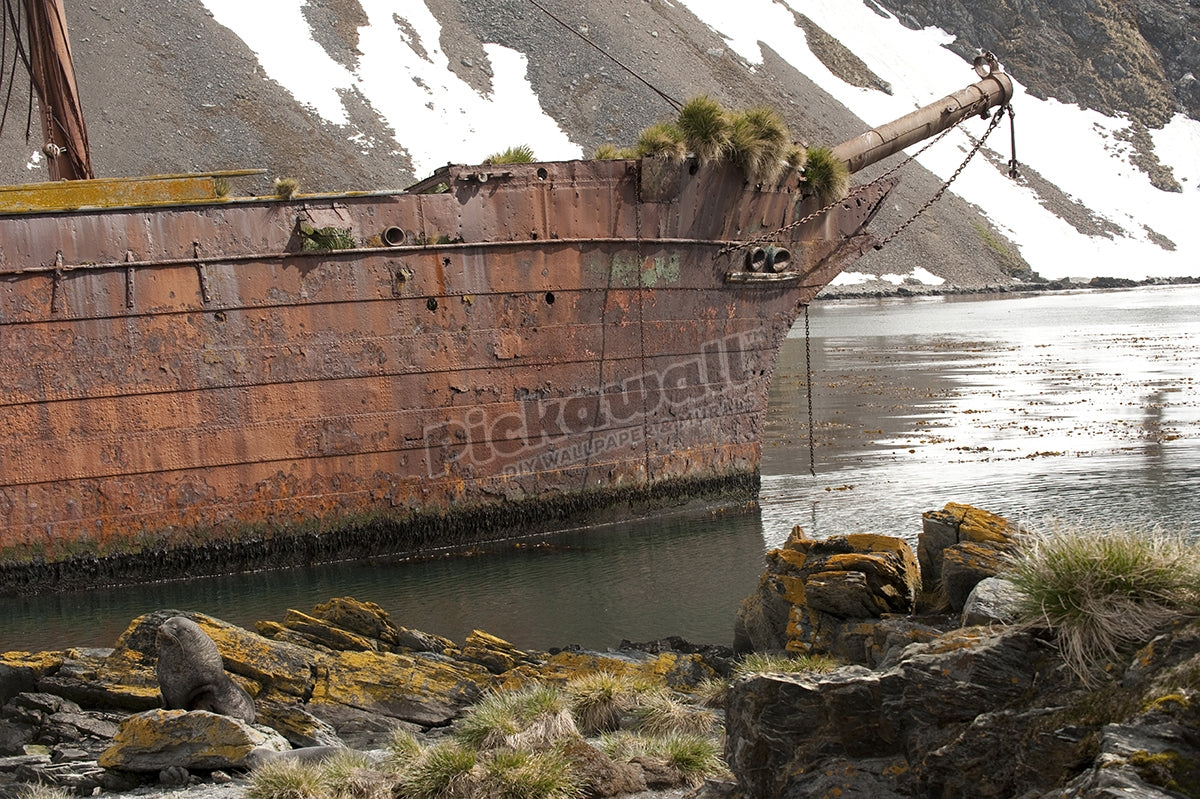 Rusty Ship