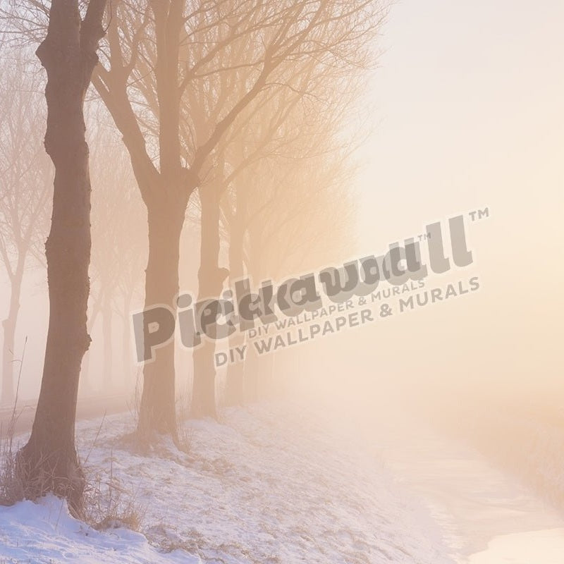 Foggy morning in winter - Pickawall