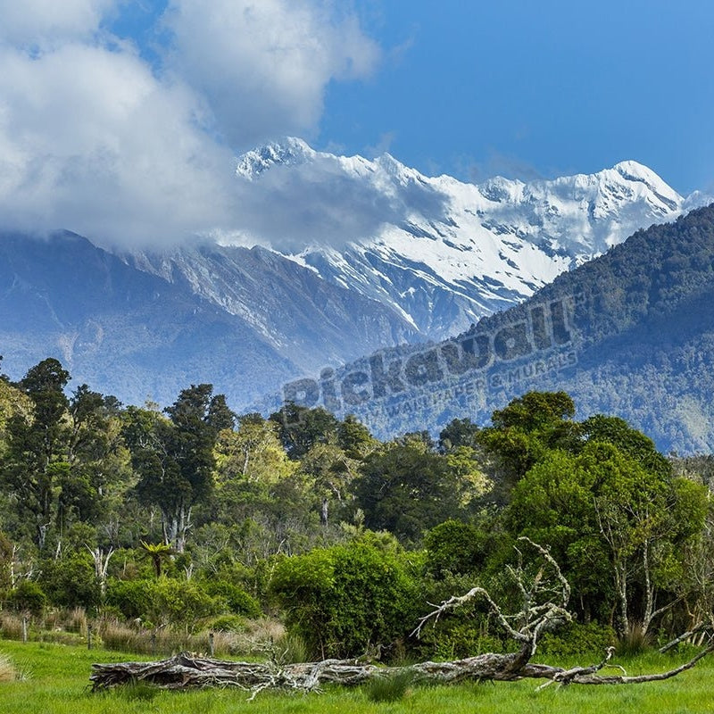 Forest and mountain landscape - Pickawall