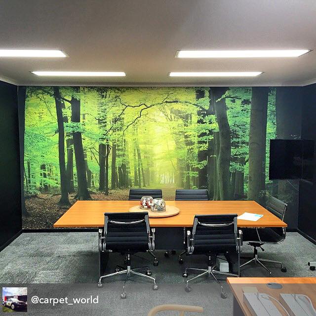 Forest Path Boardroom - Pickawall