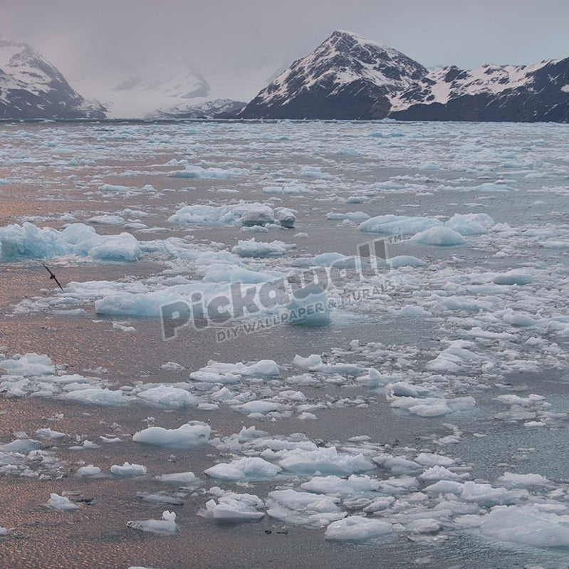 Fortuna Bay Ice Water - Pickawall