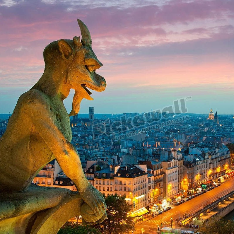 France, Paris, view over Paris from Notre Dame Cathedral - Pickawall
