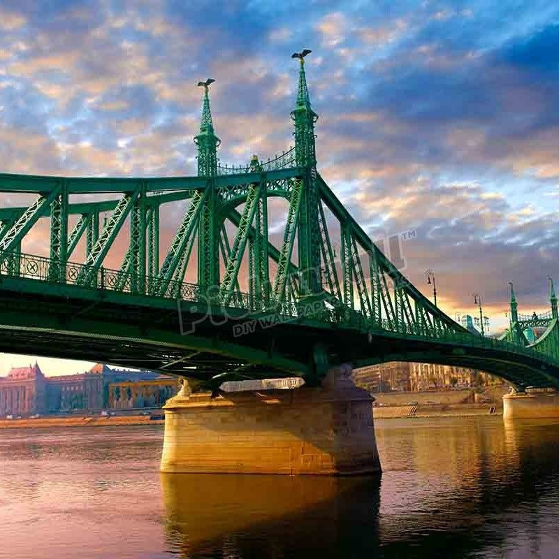 Freedom Bridge - Pickawall