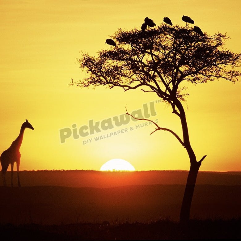 Giraffe and tree silhouette - Pickawall