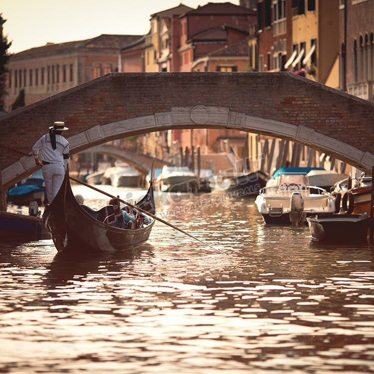 Gondolier riding gondola - Pickawall