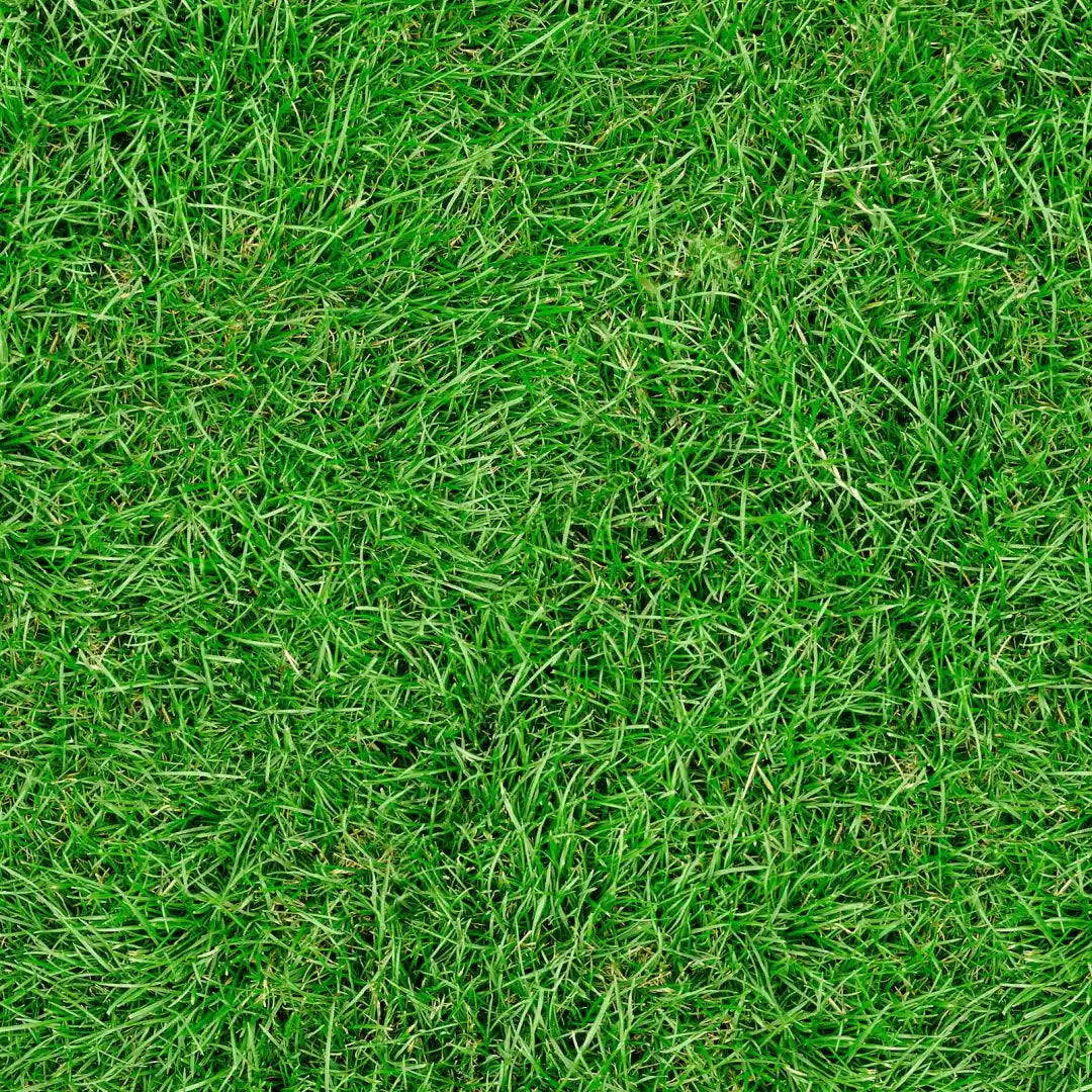Green artificial grass texture with dense, realistic blades filling the entire frame.