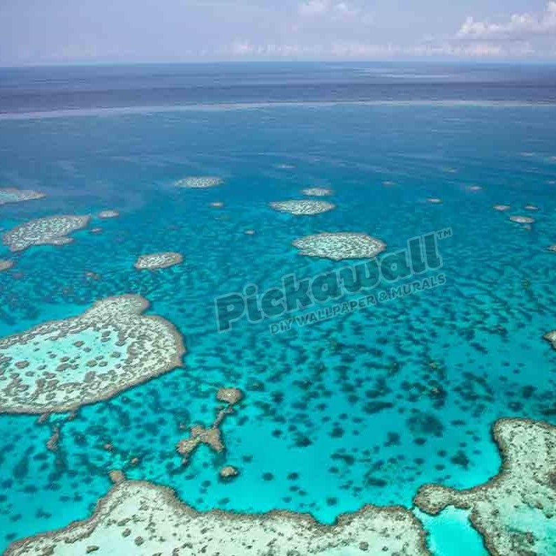 Great Barrier Reef - Pickawall