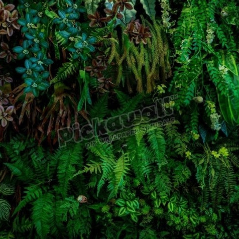 Green Walls Fern - Pickawall