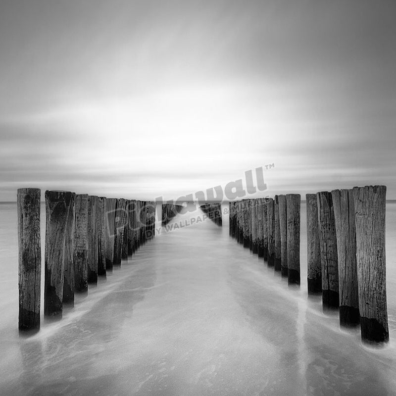 Groynes - Pickawall