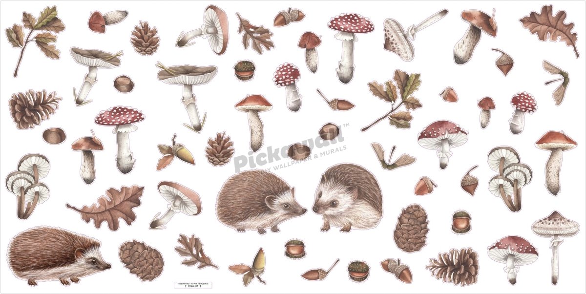 Happy Hedgehog Decal Set by Kikki Belle - Pickawall
