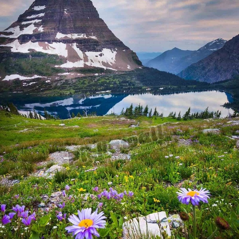 Hidden Lake, Glacier National Park - Pickawall