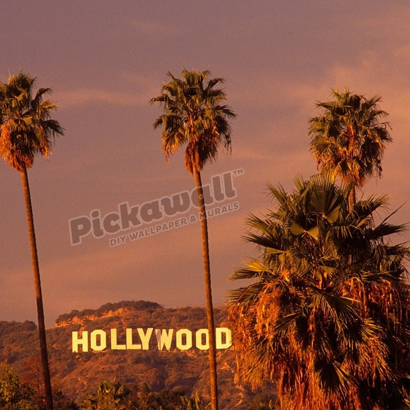 Hollywood sign and palm trees Hollywood Los Angeles California - Pickawall
