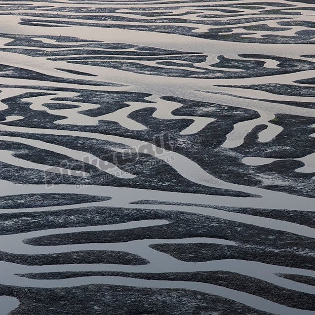 Home Bay at Low tide - Pickawall