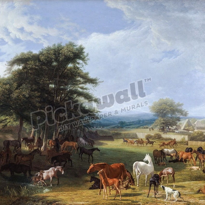 Horse Meadow by Madam Blanc - Pickawall