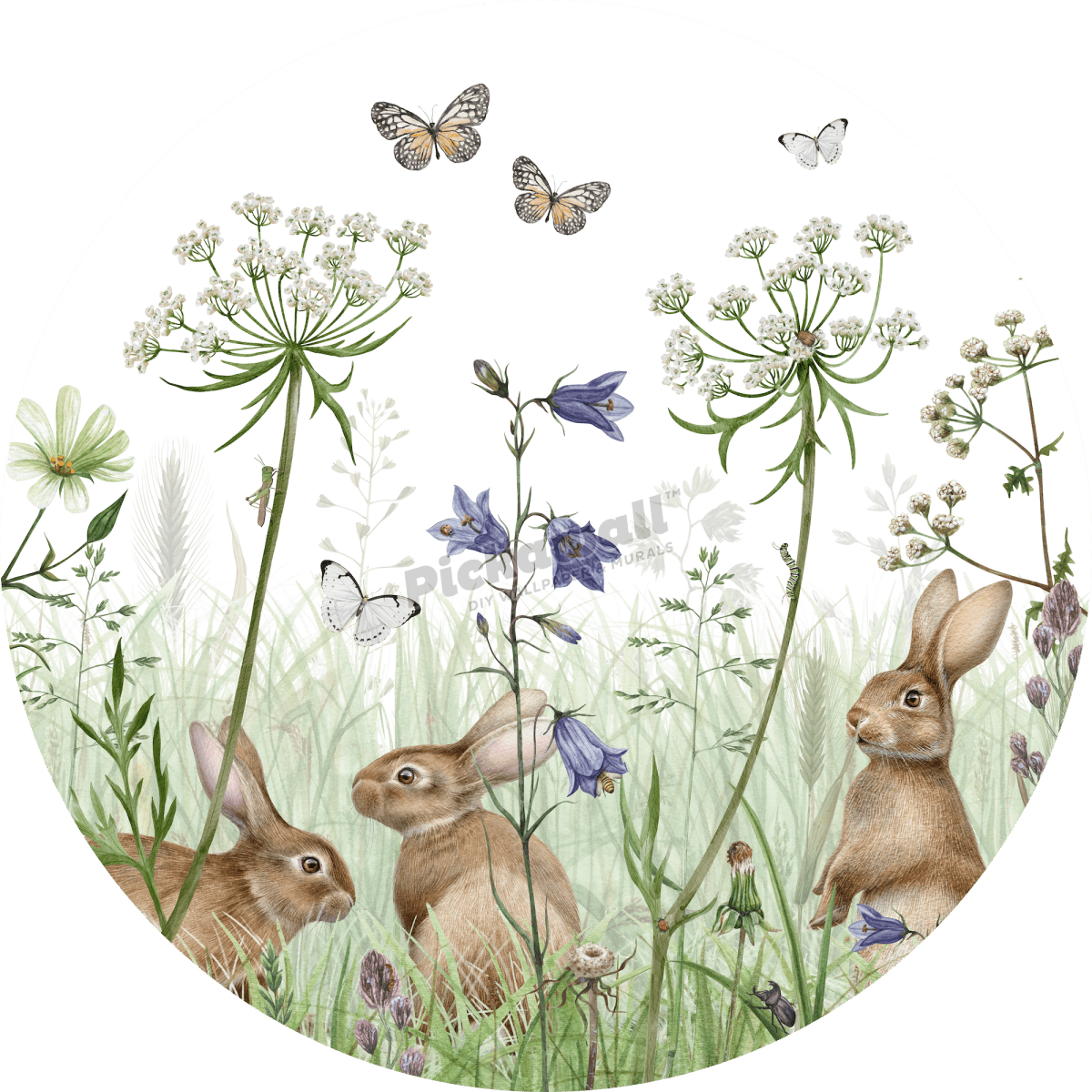 In the Undergrowth Decal by Kikki Belle - Pickawall
