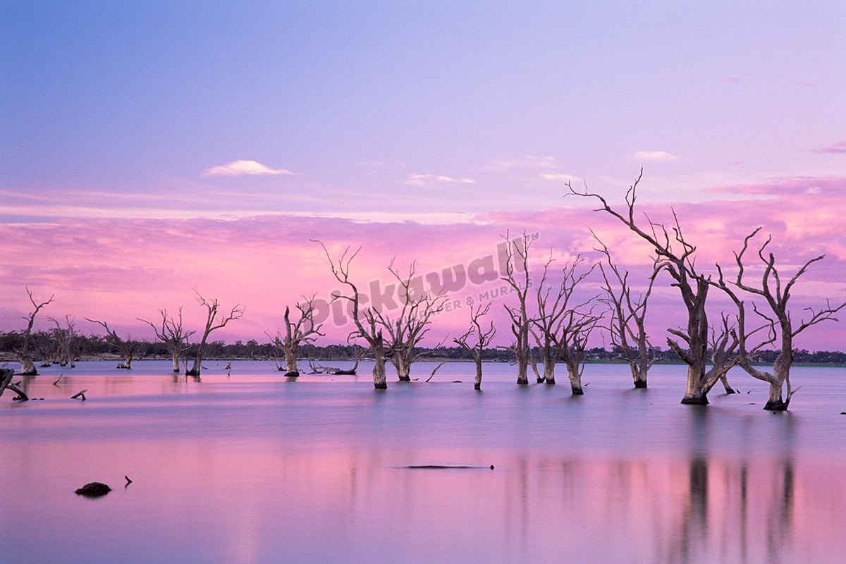 Lake Bonney - Pickawall