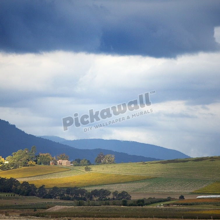 Land - Vineyards - Pickawall