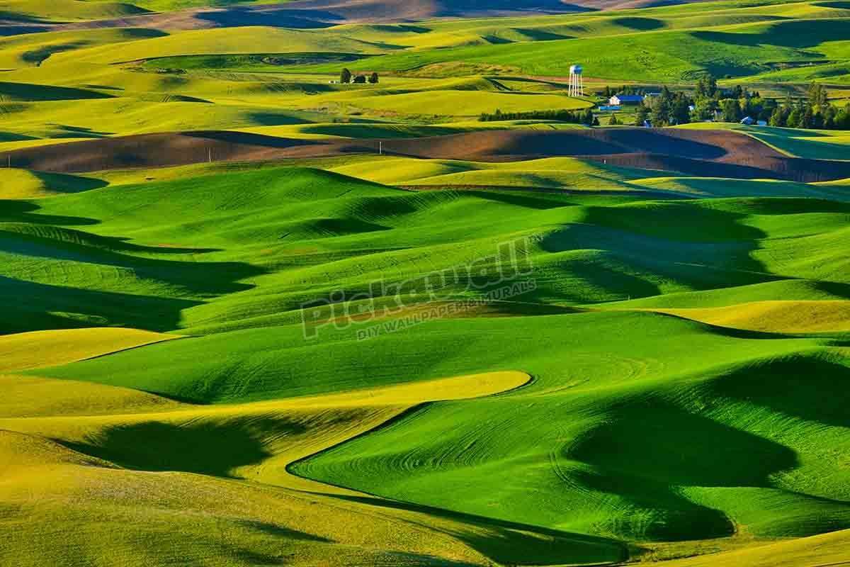 Landscape Land - Green Rolling Fields - Pickawall
