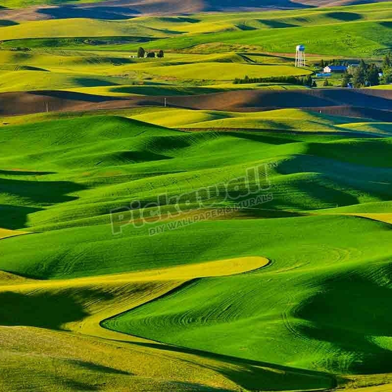 Landscape Land - Green Rolling Fields - Pickawall