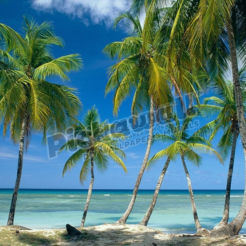 Landscape - Sea, Tropical Island, Caribbean - Pickawall
