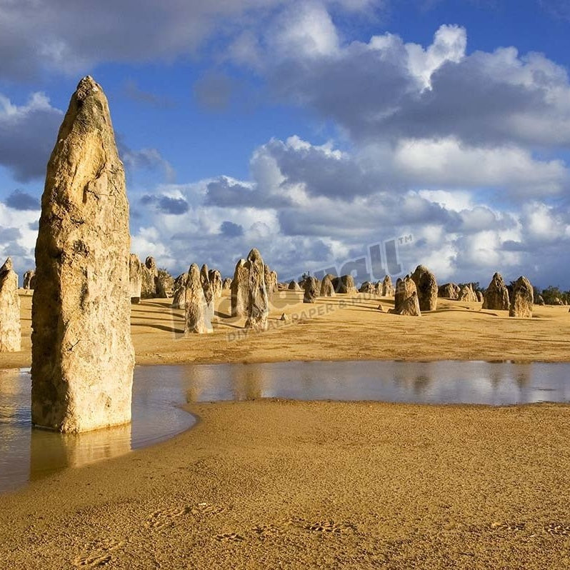 Limestone formations in Pinnacles Desert, near town of Cervantes. - Pickawall