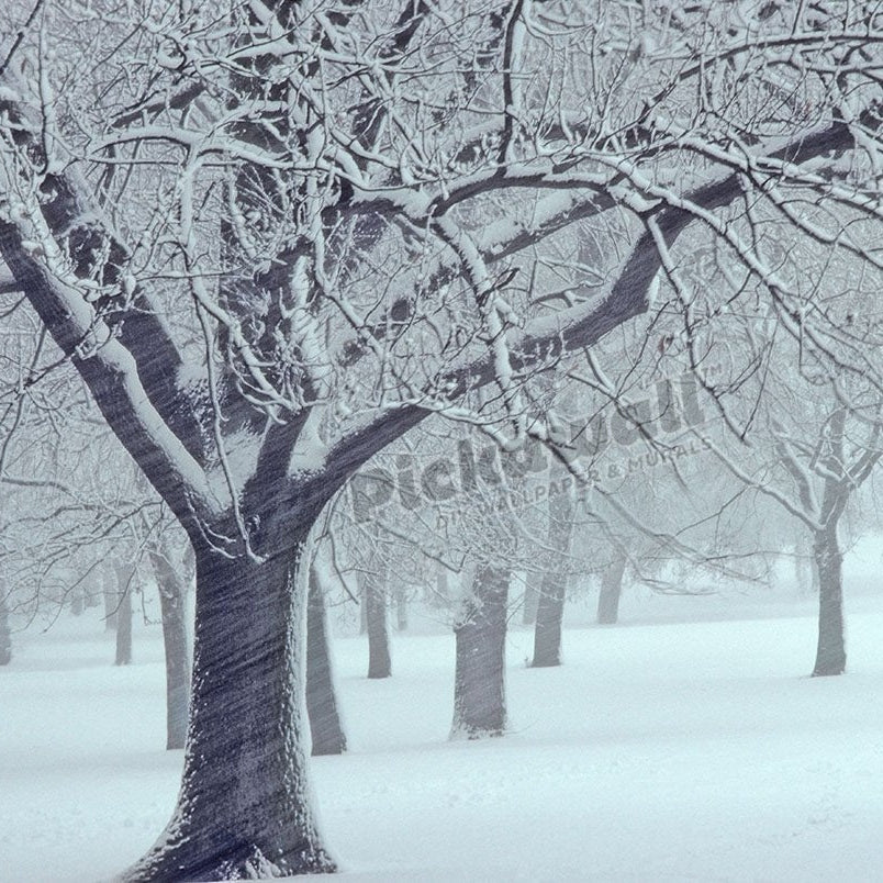 London Snow Storm - Pickawall