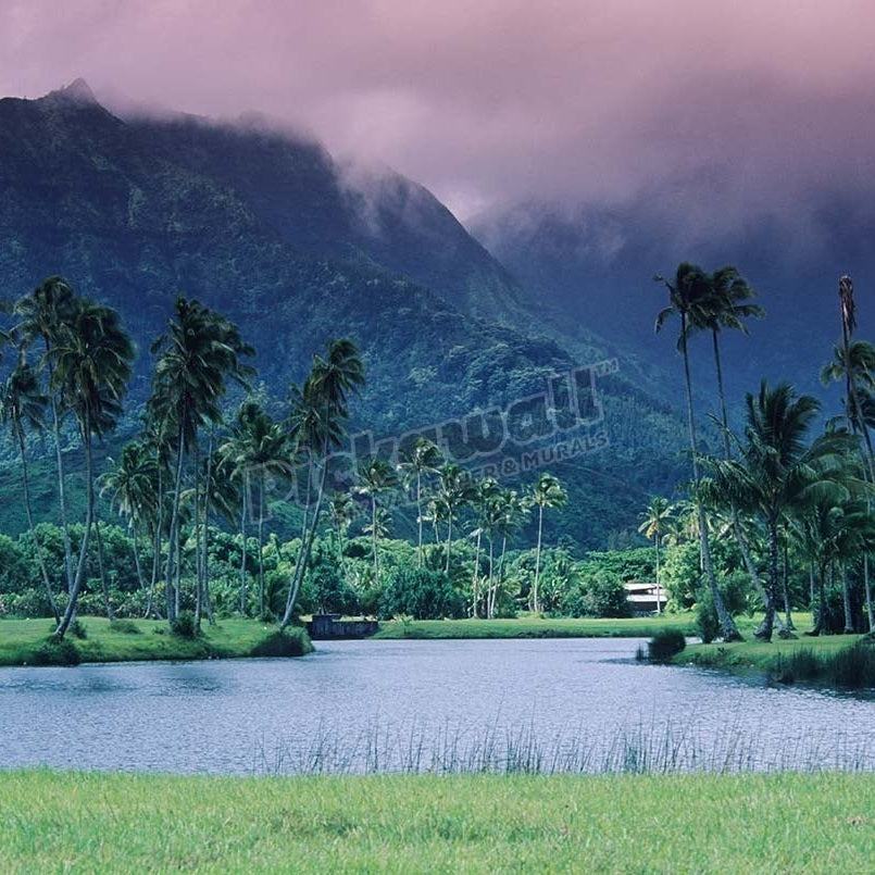 Looking across tropical landscape up to Mt Waialeale from Hanalei, Hawaii - Pickawall