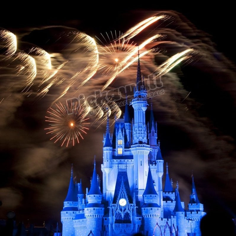 Magic Kingdom castle Disney World - Pickawall