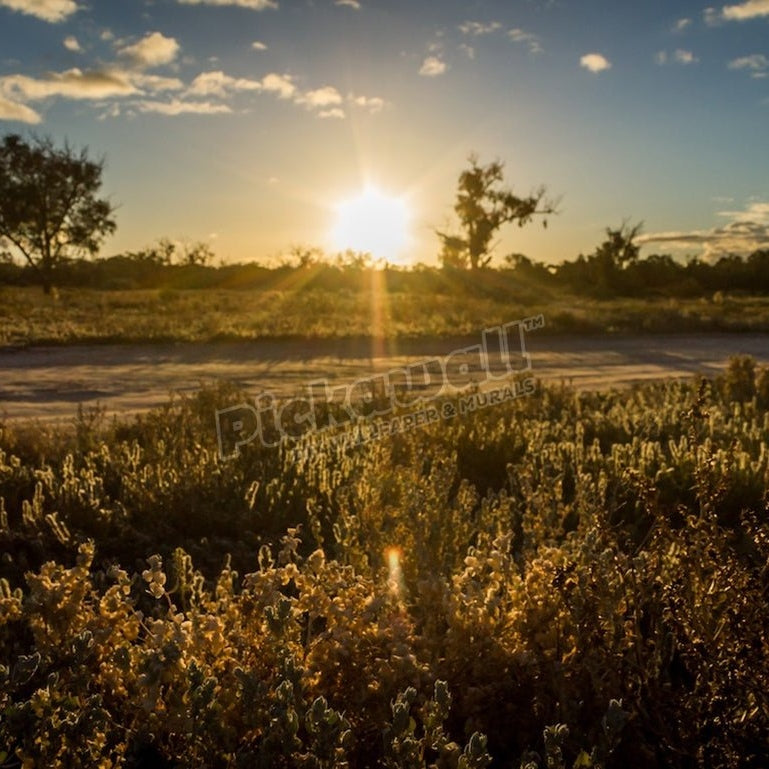 Mildura Sunset - Pickawall