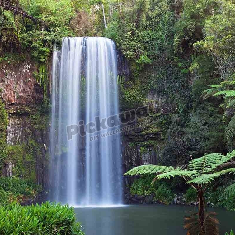 Millaa Millaa Falls, Atherton Tablelands, Queensland, Australia - Pickawall