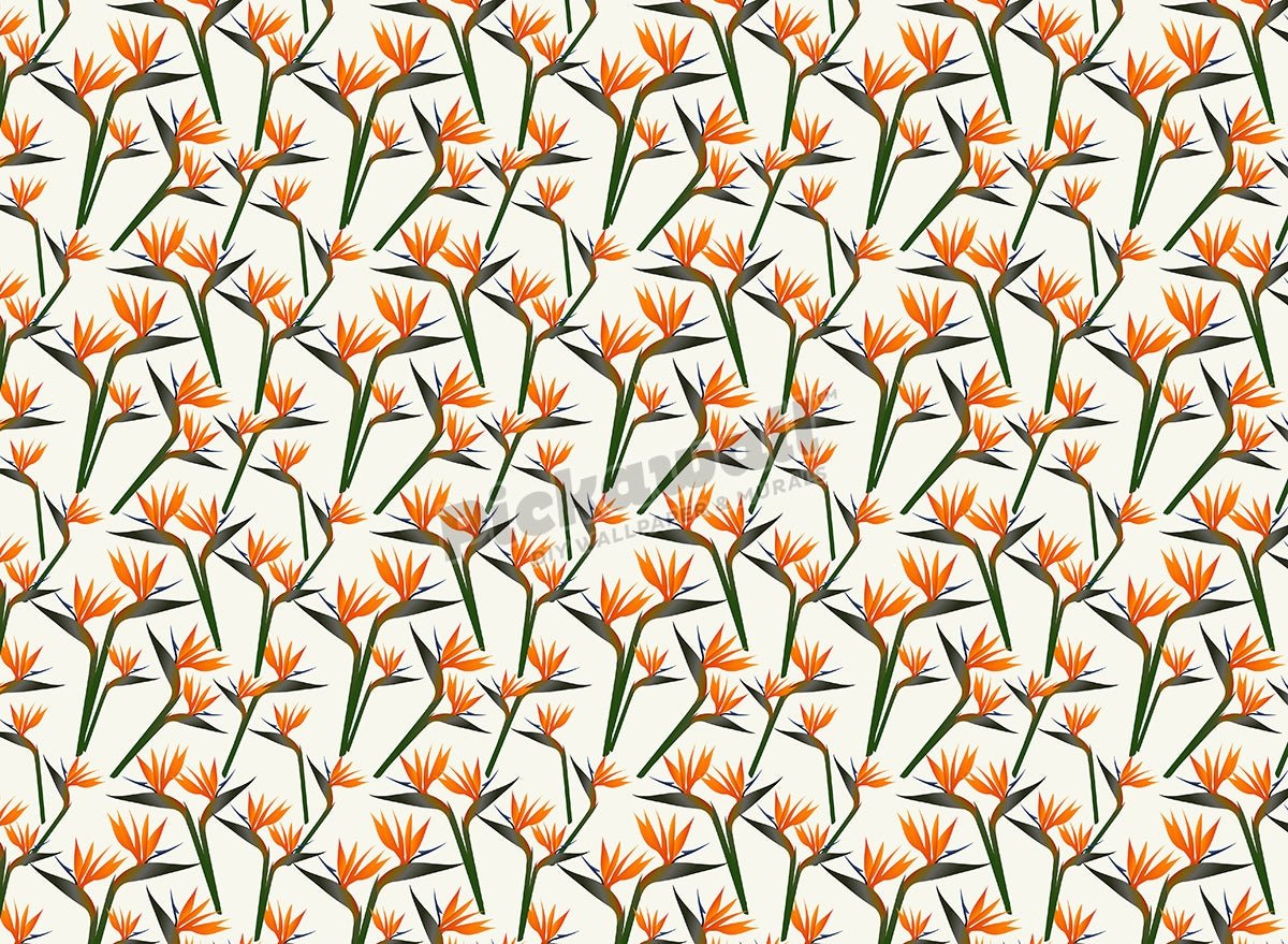 Mini Birds of Paradise - Pickawall