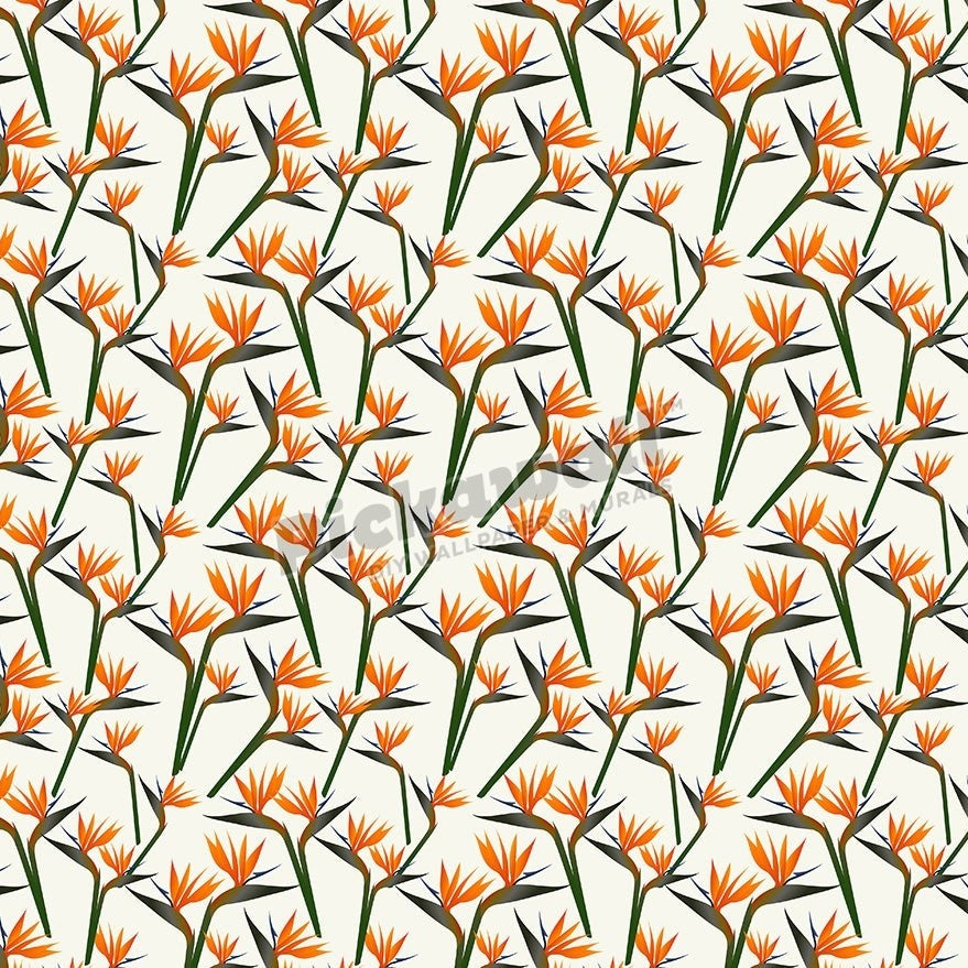 Mini Birds of Paradise - Pickawall