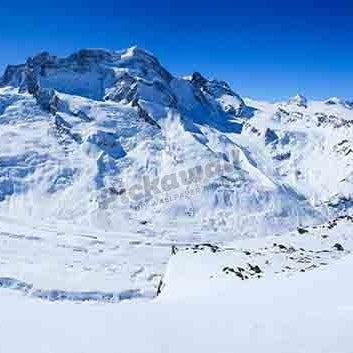 Monte Rosa Mountains - Pickawall