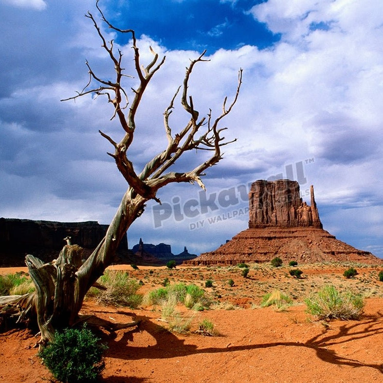 Monument Valley Day - Pickawall