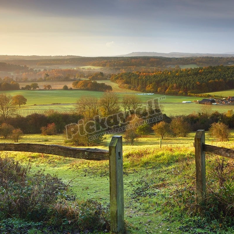 Morning sunlight shining over the North Downs, Newlands Corner - Pickawall