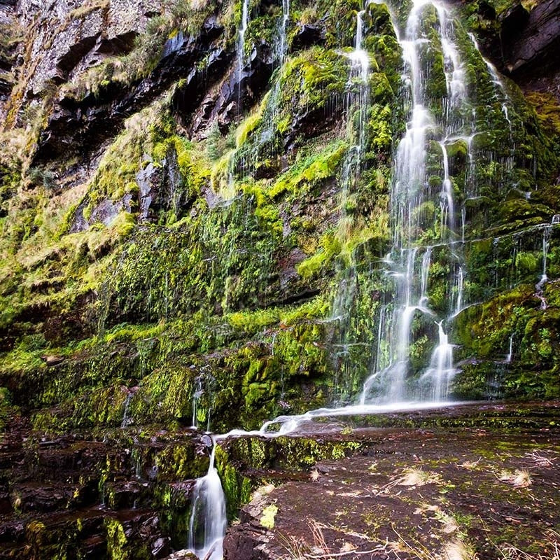Moss Rockface Waterfall - Pickawall