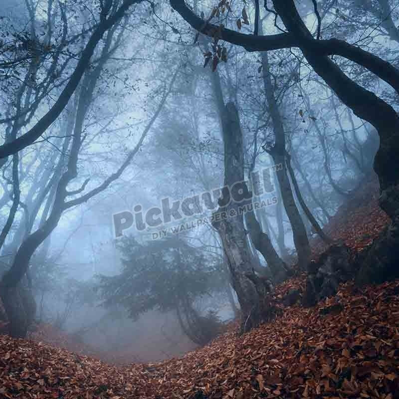 Mysterious dark autumn forest in blue fog - Pickawall
