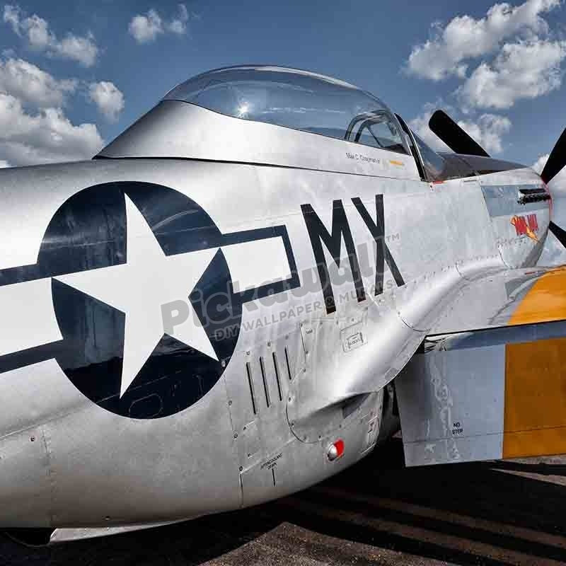 North American P51D Mustang - Pickawall
