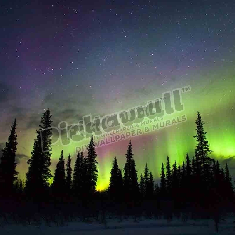 Northern Lights Alaska - Pickawall