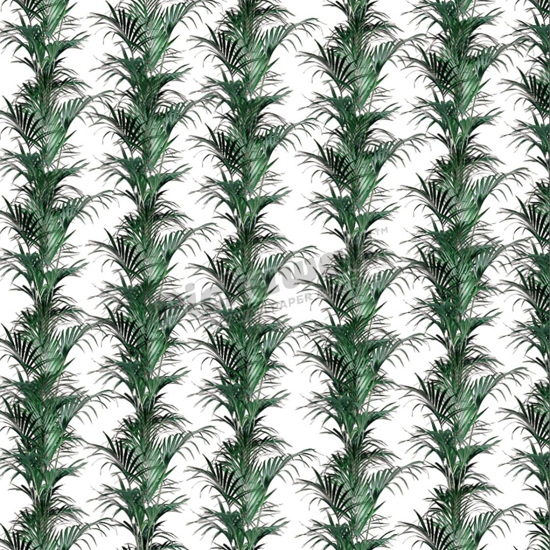 Palm paradise pattern - Pickawall