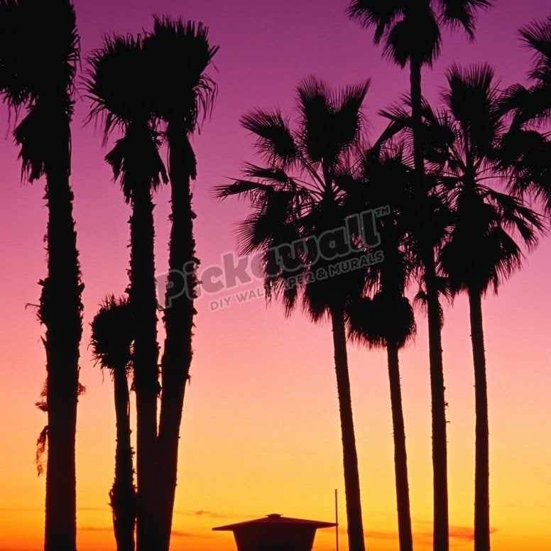 Palm Tree Sunset - Pickawall